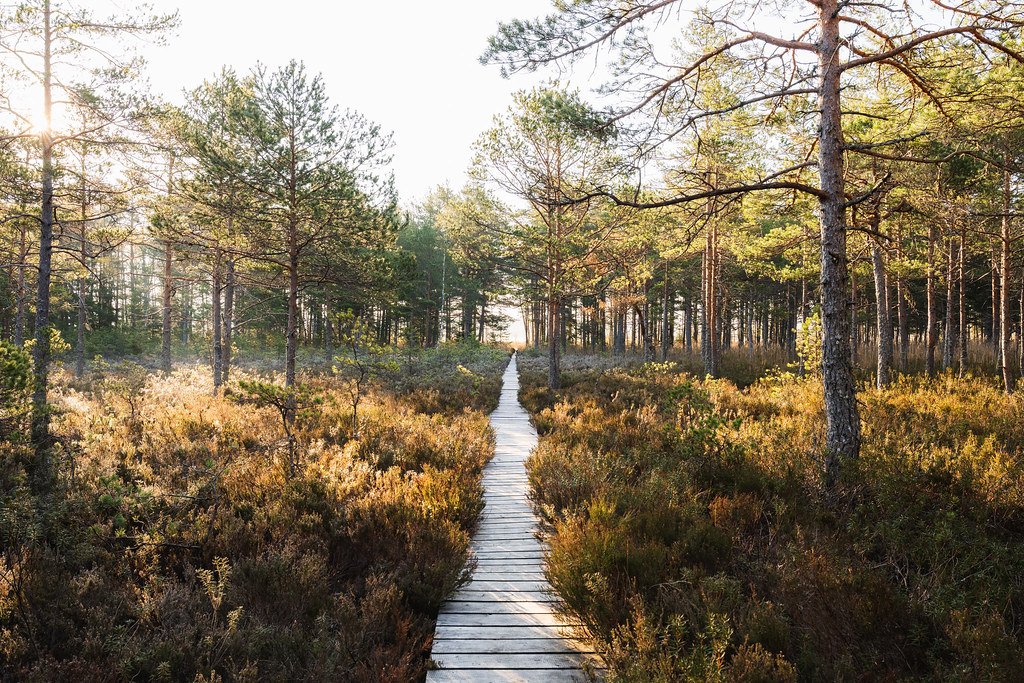 Foto: Priidu Saart, Hiiumaa Arenduskeskus